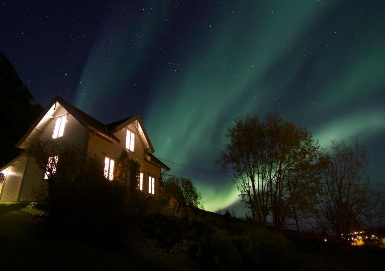 Kjosen Lodge, Lyngen. Lyngseidet Buitenkant foto